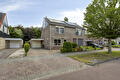 Dotterbloem 37